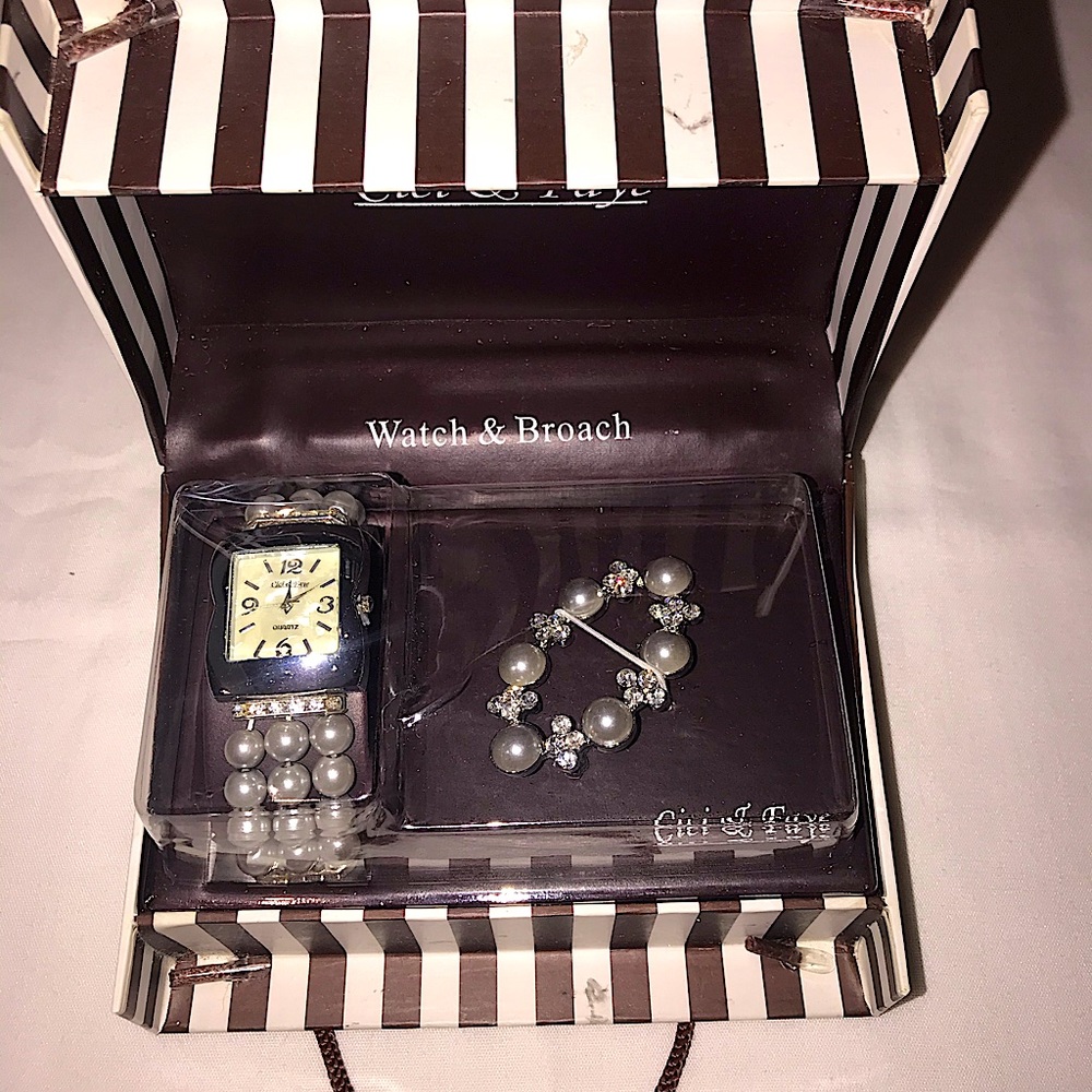 NWT Cici & Faye Watch and Broach